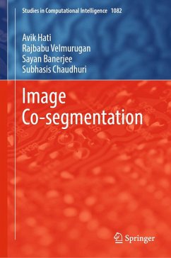 Cover Image Co-segmentation (eBook, PDF)