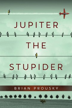 Cover Jupiter the Stupider
