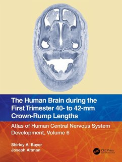 The Human Brain during the First Trimester 40- to 42-mm Crown-Rump Lengths (eBook, ePUB) - Bayer, Shirley A.; Altman, Joseph