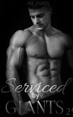 Serviced by Giants 2 (eBook, ePUB)