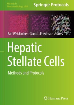 Hepatic Stellate Cells