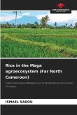 Rice in the Maga agroecosystem (Far North Cameroon)