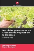 Bactérias promotoras do crescimento vegetal em hidroponia