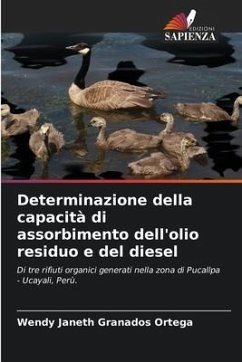 Determinazione della capacità di assorbimento dell'olio residuo e del diesel - Granados Ortega, Wendy Janeth