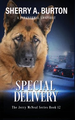 Special Delivery - Burton, Sherry A.