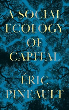 A Social Ecology of Capital (eBook, ePUB) - Pineault, Éric