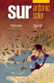 Sur (eBook, ePUB)