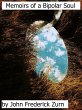 Memoirs of a Bipolar Soul (eBook, ePUB) - Bild 1