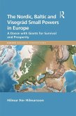 The Nordic, Baltic and Visegrád Small Powers in Europe (eBook, PDF)