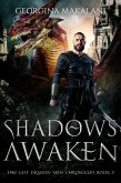 Shadows Awaken (The Last Dragon Skin Chronicles, #3) (eBook, ePUB)