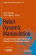 Robot Dynamic Manipulation - Bild 1