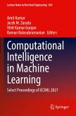 Computational Intelligence in Machine Learning