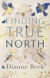 Finding True North - Bild 1