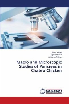 Macro and Microscopic Studies of Pancreas in Chabro Chicken