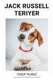 Jack Russell Teriyer Jack Russell Teriyer