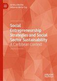 Social Entrepreneurship Strategies and Social Sector Sustainability (eBook, PDF)