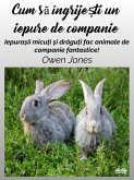 Cum Sa Îngrije¿ti Un Iepure De Companie (eBook, ePUB)