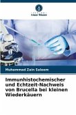 Immunhistochemischer und Echtzeit-Nachweis von Brucella bei kleinen Wiederkäuern