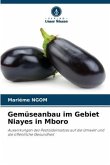 Gemüseanbau im Gebiet Niayes in Mboro