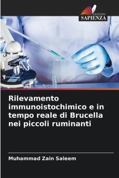 Rilevamento immunoistochimico e in tempo reale di Brucella nei piccoli ruminanti - Saleem, Muhammad Zain