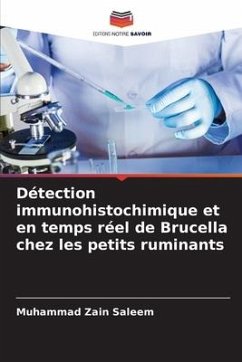 Détection immunohistochimique et en temps réel de Brucella chez les petits ruminants - Saleem, Muhammad Zain