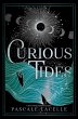 Curious Tides (eBook, ePUB) - Bild 1