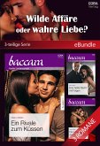 Wilde Affäre oder wahre Liebe? (3-teilige Serie) (eBook, ePUB)