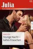 Feurige Nacht - kaltes Erwachen (eBook, ePUB)