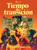 Tiempo de transición (eBook, ePUB)