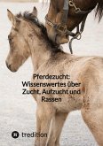 Pferdezucht: Wissenswertes über Zucht, Aufzucht und Rassen