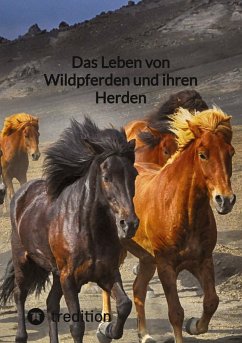 Das Leben von Wildpferden und ihren Herden - Moritz