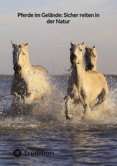 Pferde im Gelände: Sicher reiten in der Natur - Moritz