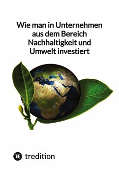 Wie man in Unternehmen aus dem Bereich Nachhaltigkeit und Umwelt investiert - Moritz