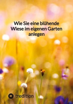 Wie Sie eine blühende Wiese im eigenen Garten anlegen - Moritz