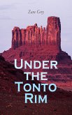 Under the Tonto Rim (eBook, ePUB)