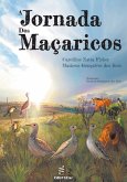 A jornada dos maçaricos (eBook, ePUB) A jornada dos maçaricos (eBook, ePUB)
