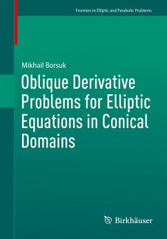 Oblique Derivative Problems for Elliptic Equations in Conical Domains - Borsuk, Mikhail
