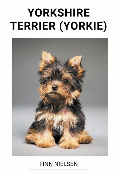 Yorkshire Terrier (Yorkie) Yorkshire Terrier (Yorkie)
