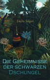 Die Geheimnisse der schwarzen Dschungel (eBook, ePUB)