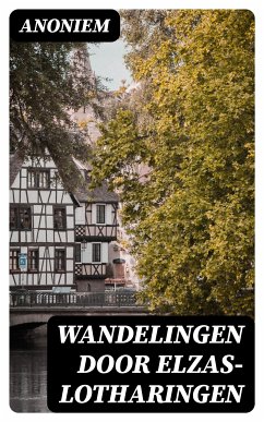 Wandelingen door Elzas-Lotharingen (eBook, ePUB) - Anoniem