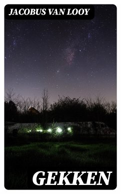 Gekken (eBook, ePUB) - Looy, Jacobus van