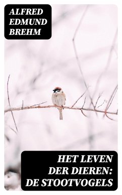 Het Leven der Dieren: De Stootvogels (eBook, ePUB) - Brehm, Alfred Edmund