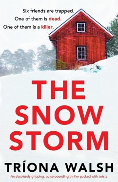 The Snowstorm - Walsh, Tríona