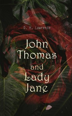 Cover John Thomas and Lady Jane (eBook, ePUB)