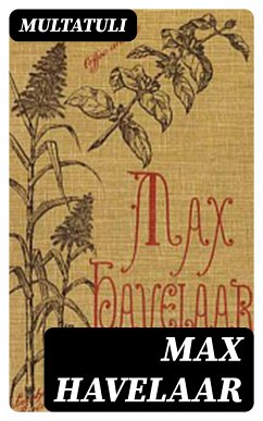 Max Havelaar (eBook, ePUB) - Multatuli