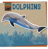 Dolphins