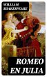 Romeo en Julia (eBook, ePUB) - Bild 1