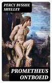 Prometheus ontboeid (eBook, ePUB)