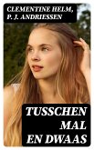 Tusschen mal en dwaas (eBook, ePUB)