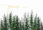 Winter Evergreens Deluxe Boxed Holiday Cards (20 Cards, 21 Self-Sealing Envelopes)